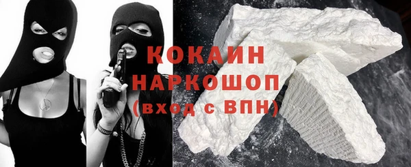 твердый Козельск